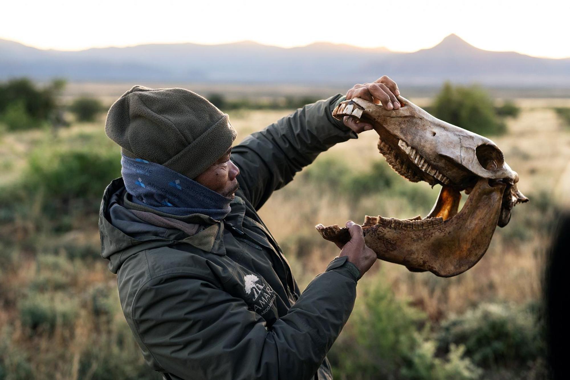Samara Karoo Reserve Graaff Reinet Ngoại thất bức ảnh