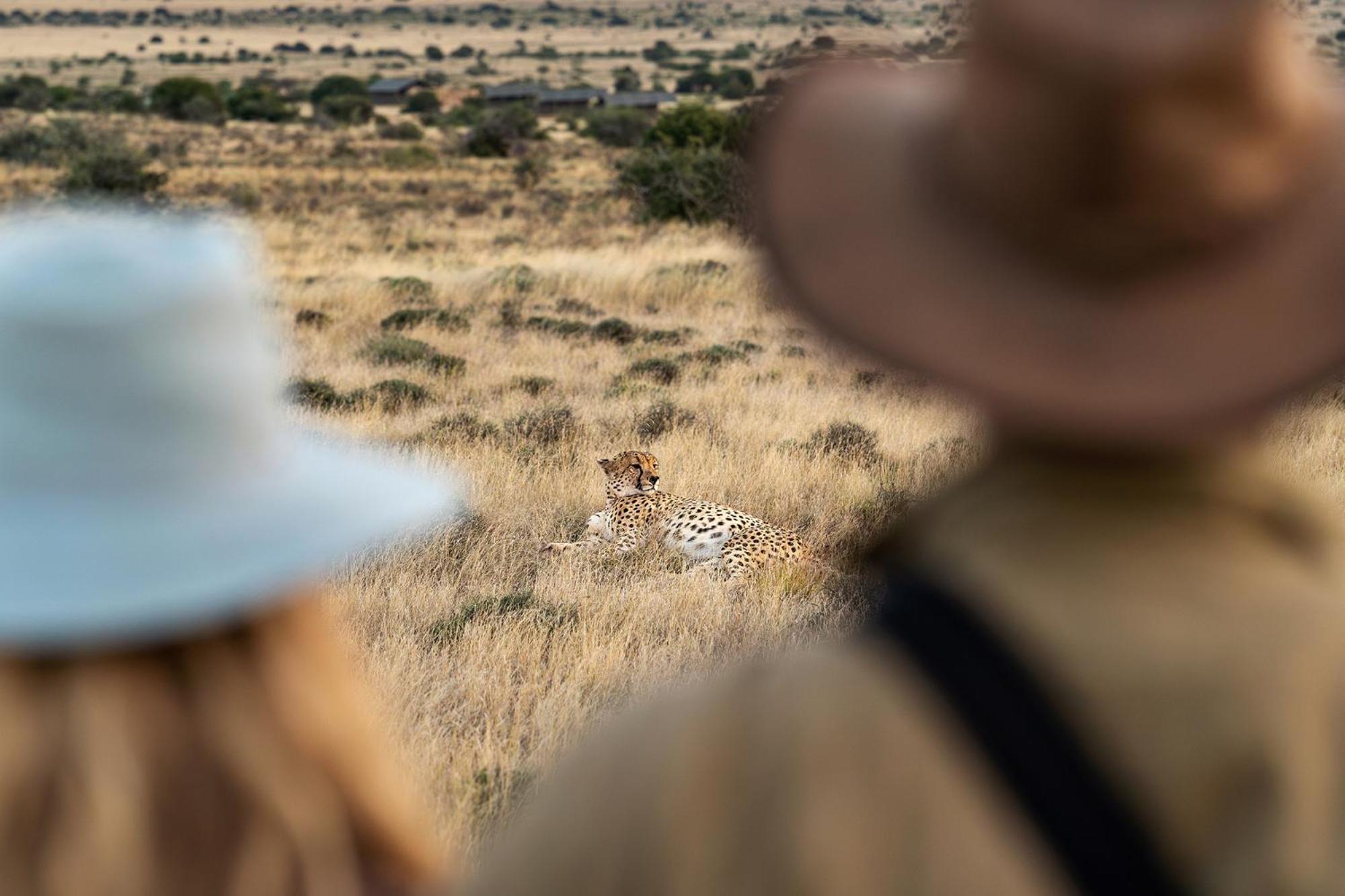 Samara Karoo Reserve Villa Graaff Reinet Ngoại thất bức ảnh